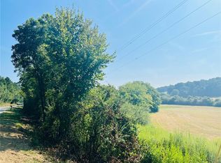 390 Spring Place Rd NE, White, GA 30184