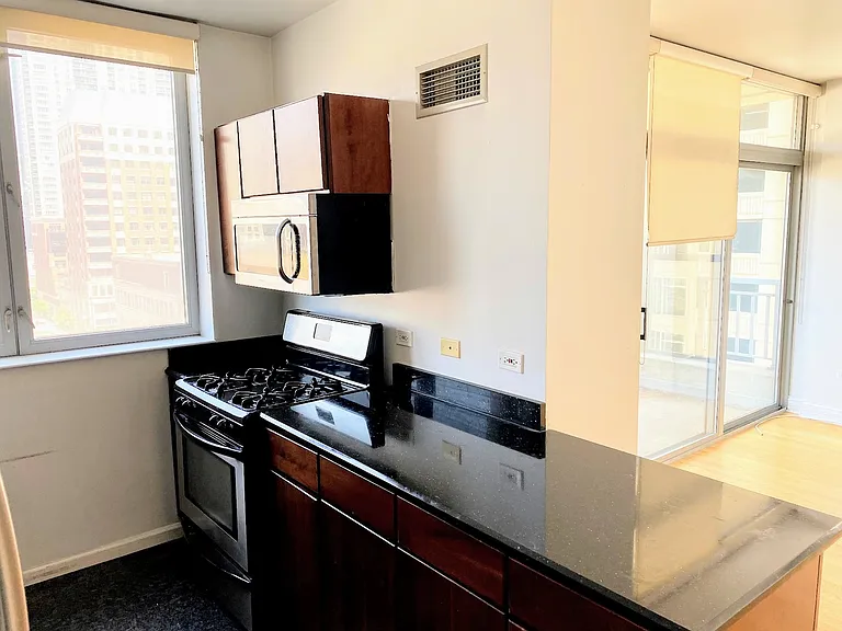 600 N Dearborn St #811 — Photo 3