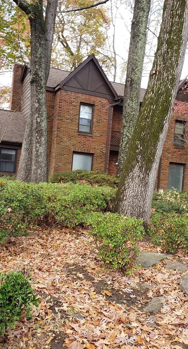 5 bed, 4151 sqft, $2,750 — Photo 3