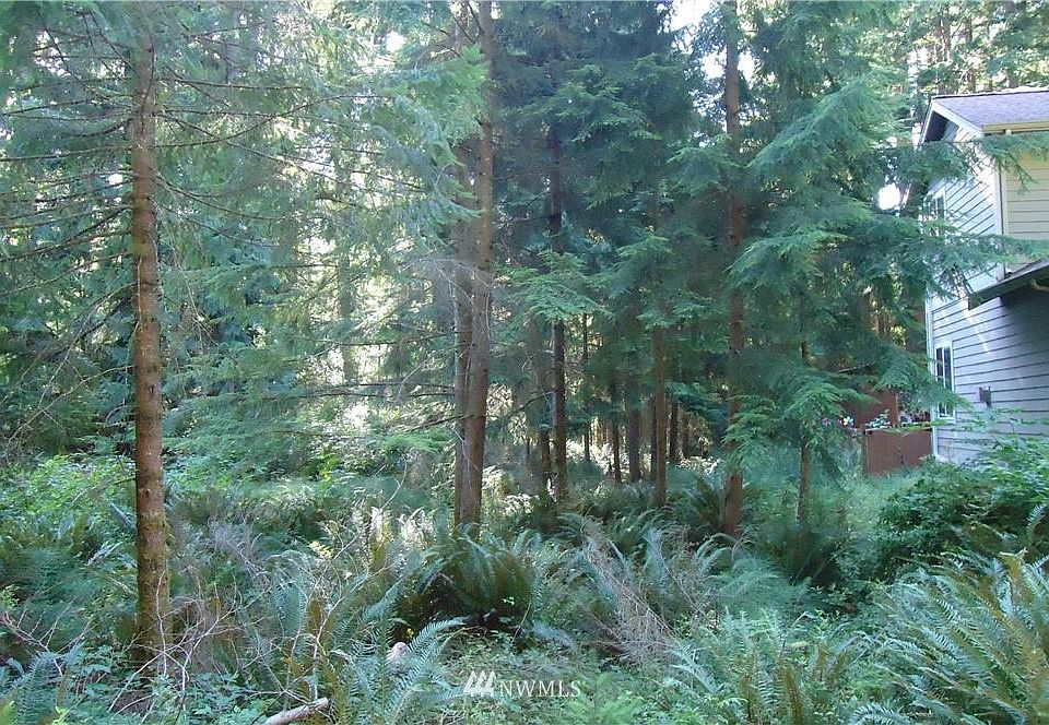2nd image of 5 Pinedrop Pl
