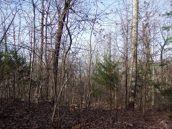 2nd image of 33 Scenic Dr #33