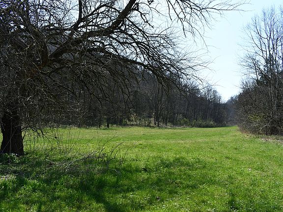 2nd image of 1013AC Dry Mill Creek Rd