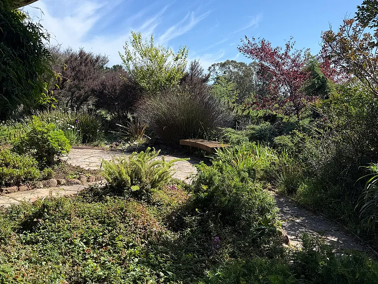 2 Lone Tree Ave — Photo 59