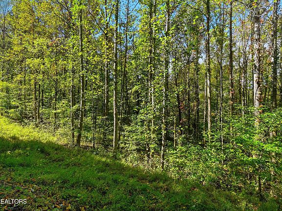 3rd image of 2 Timber Lake Dr Lot 2
