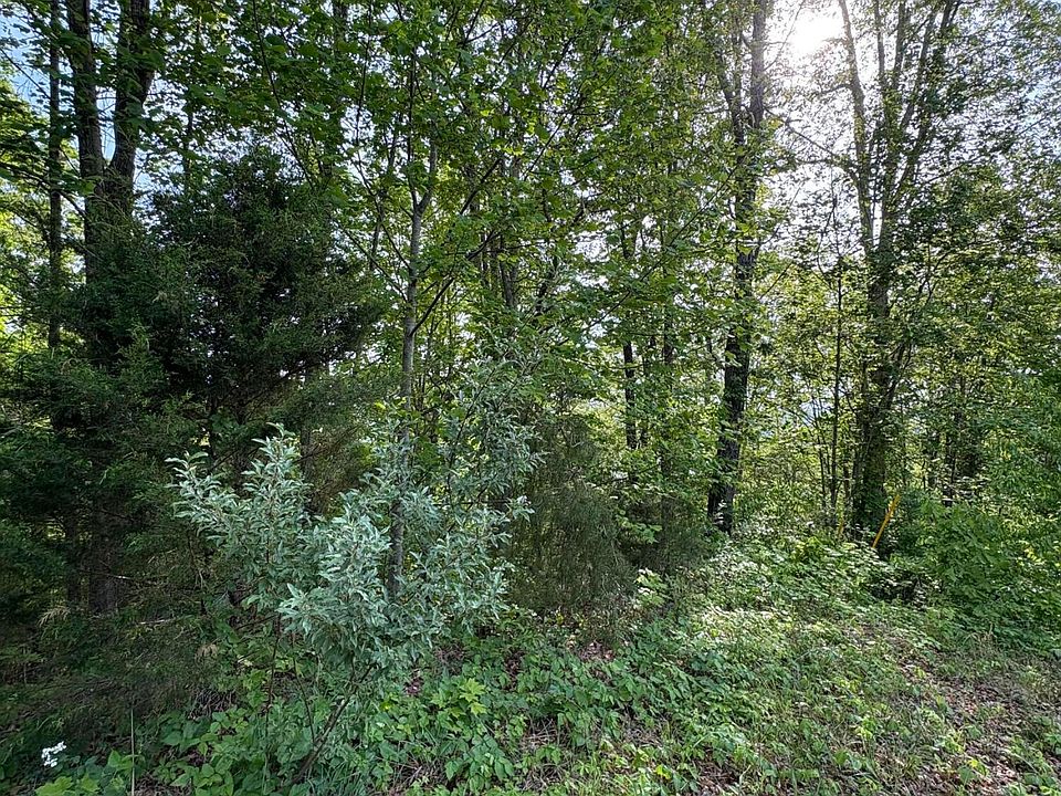 1st image of LOT 169 Saddleridge Dr