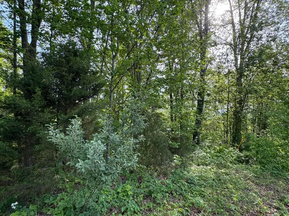 LOT 169 Saddleridge Dr, Speedwell, TN 37870