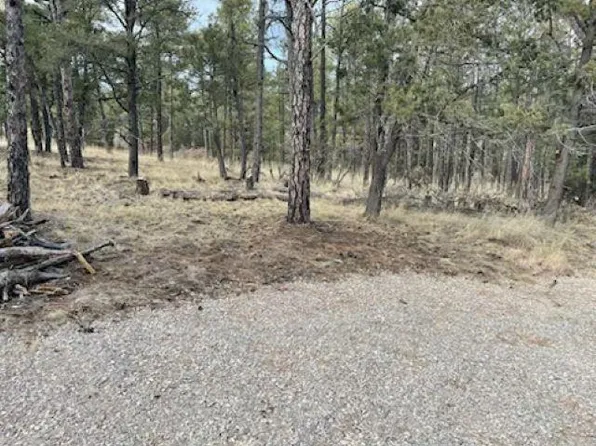 White River Ln #8, Timberon, NM 88350