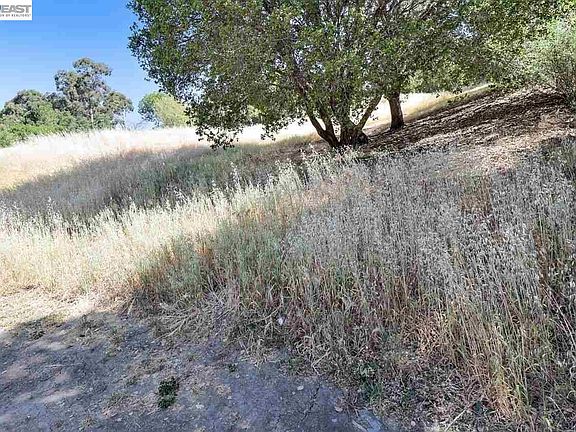 4th image of Outlook Ave