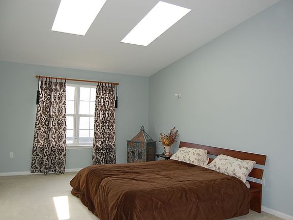 Master Bedroom with 2 skylights