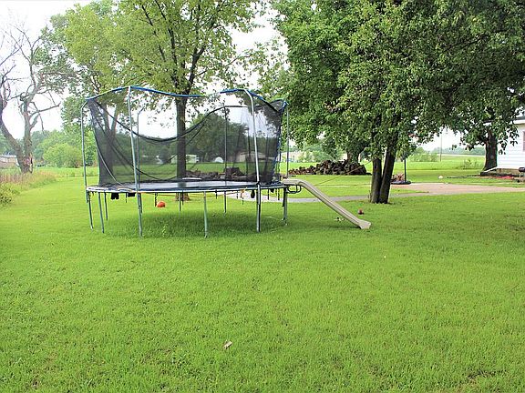 Back yard 