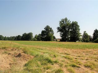 Reimer Rd, Wadsworth, OH 44281