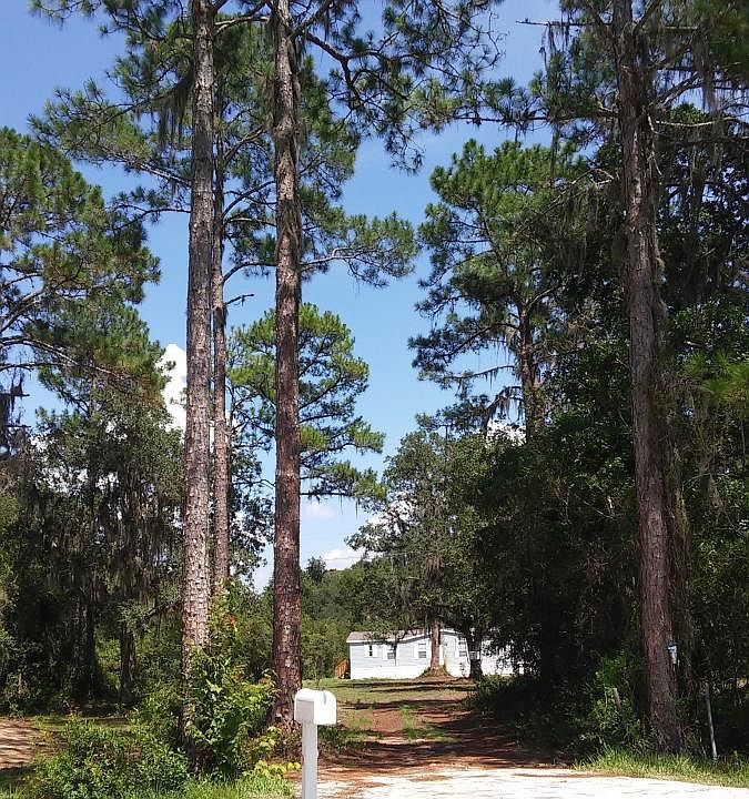 View of house from Cedar Creek Road
