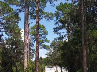 392 Cedar Creek Rd, Palatka, FL 32177