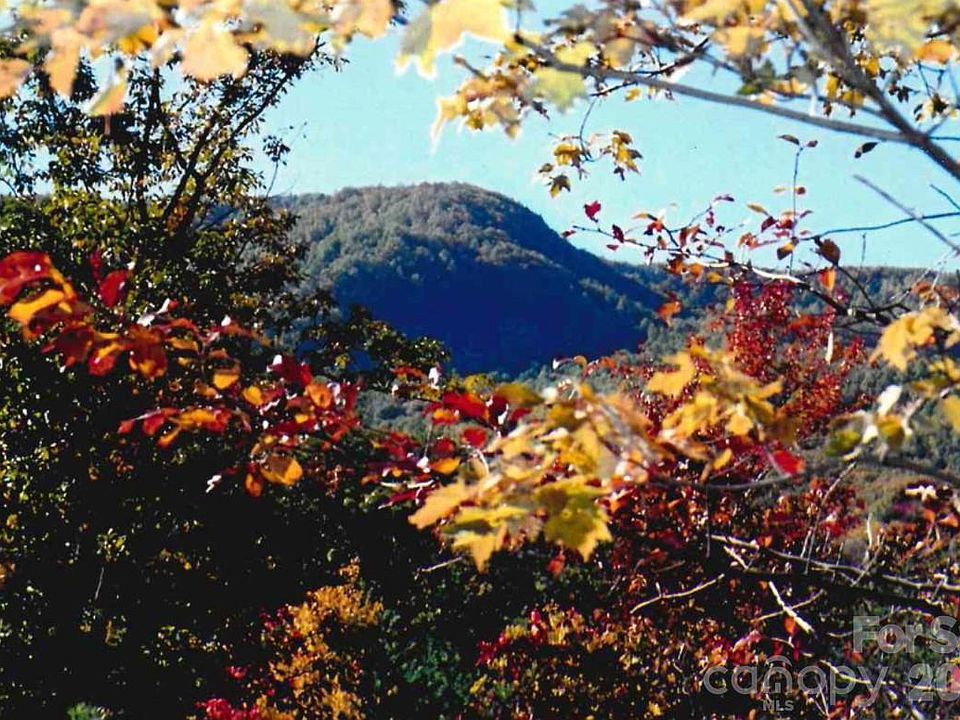 1st image of 0 Froggyville Ln