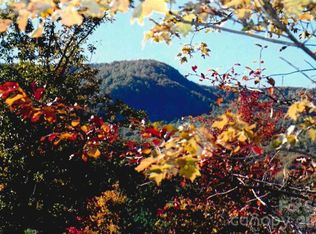 0 Froggyville Ln, Mill Spring, NC 28756