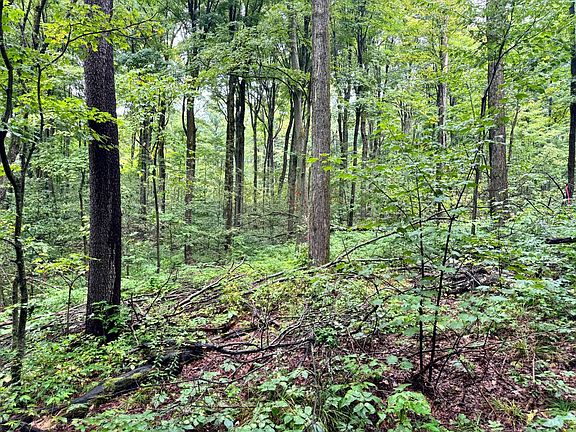 4th image of 1.6 Brigham Rd #6