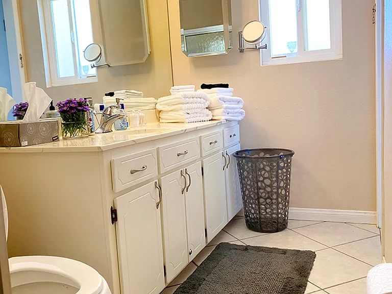 Main bathroom (next on the remodel list...)