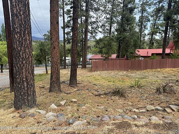3rd image of 101 Nabors Ln