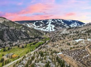 85 Willis Pl #163, Avon, CO 81620