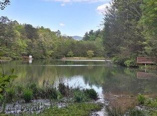 62 Cherry Lake Ct, Cherry Log, GA 30522