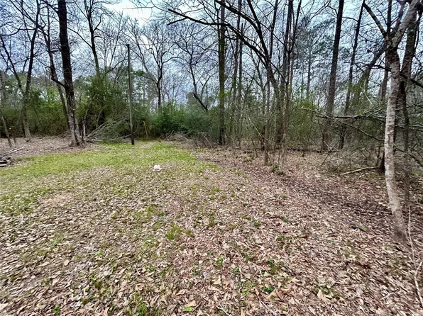 Bluebonnet Dr, Onalaska, TX 77360