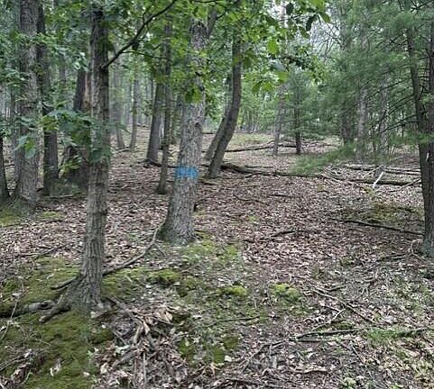 4th image of PARCEL 101 Rear Fairview Rd