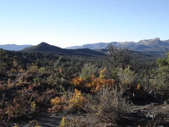 Road N, Mancos, CO 81328