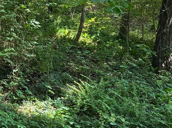 6 Lilac Ln, New Buffalo, MI 49117