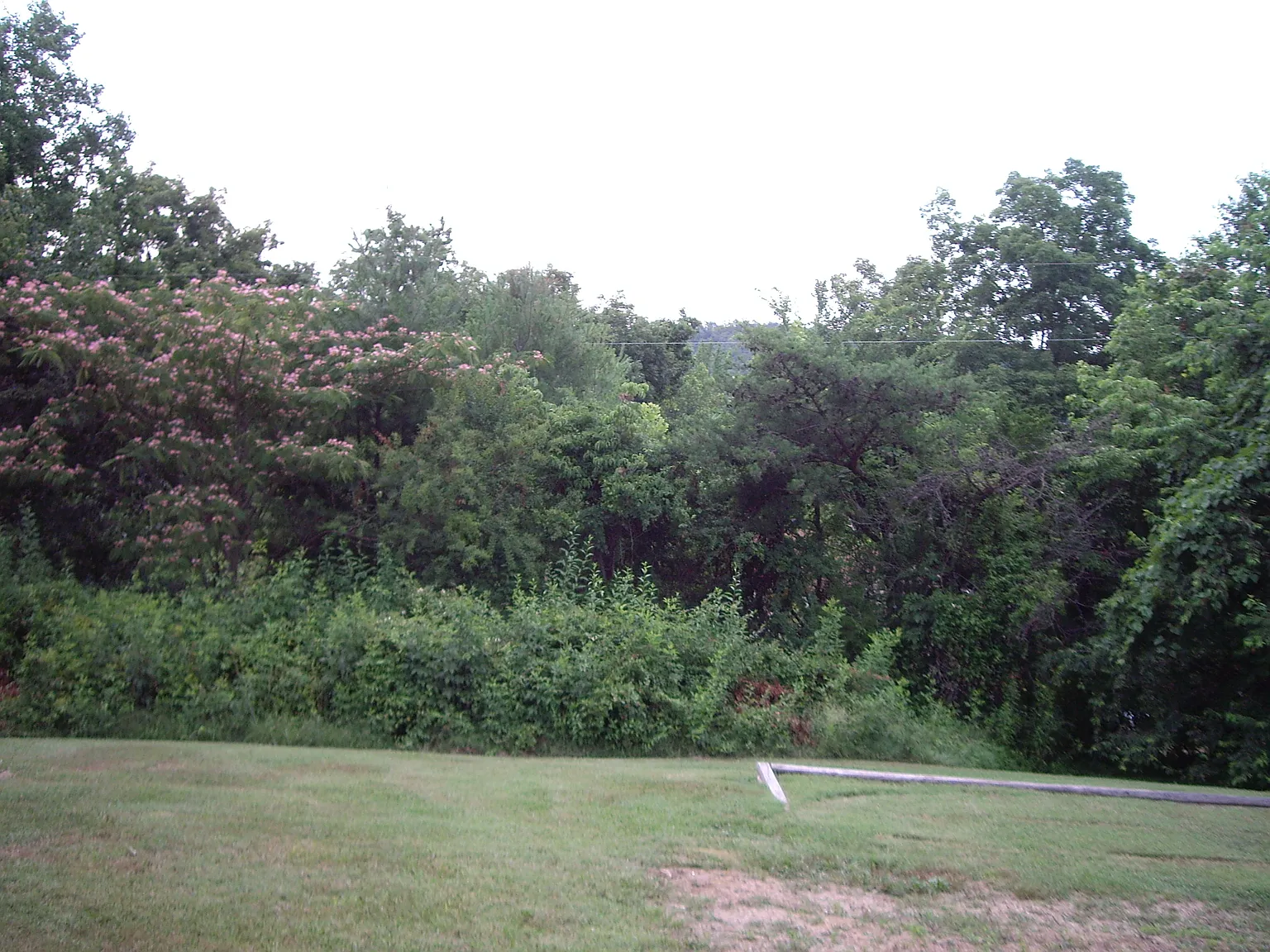 Allenwood Dr, Ashland City — Photo 2