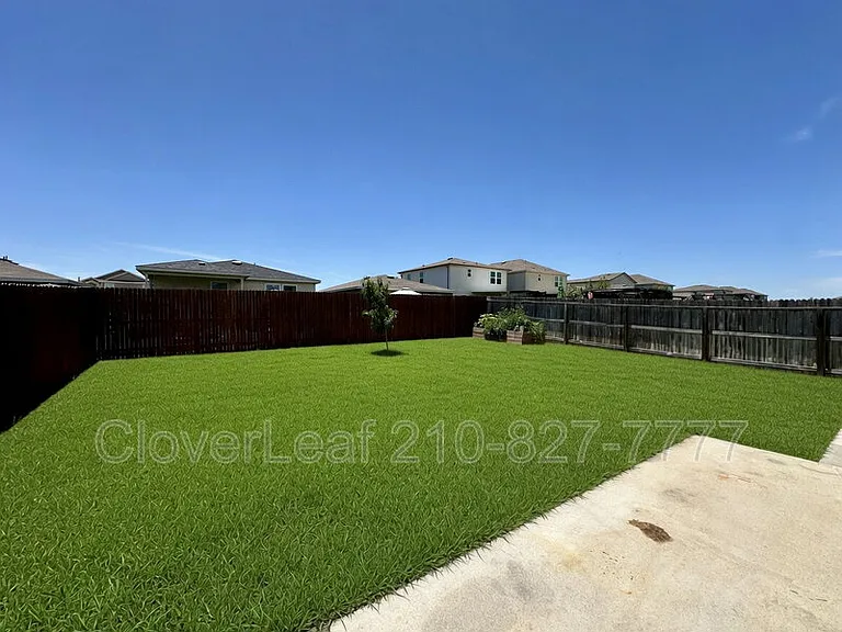 452 Holly Bush — Photo 33