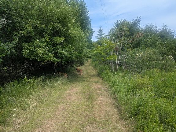 4th image of 619 Stream Road