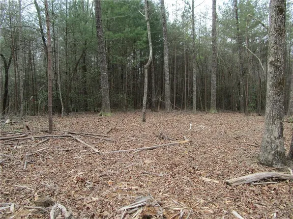 E New Hope Rd, Ellijay, GA 30536