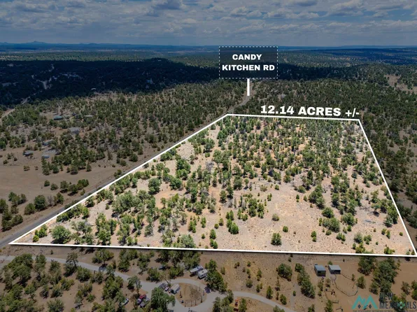 LOT 19 Candy Kitchen Rd, Pinehill, NM 87357