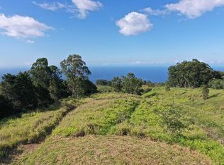 43-1968 Paauilo Mauka Rd LOT 11, Paauilo, HI 96776