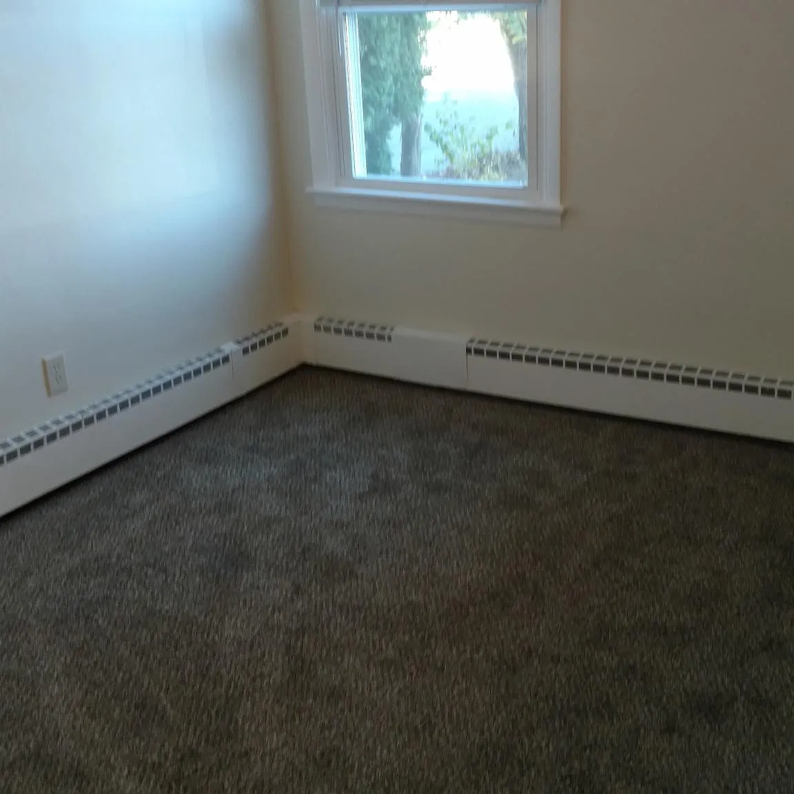 2 bed, $1,300 — Photo 3