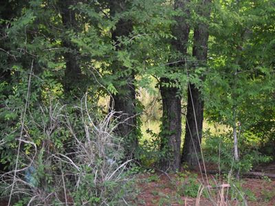 2 Mc Kinnon Dove Dr, Marion, SC, 29571