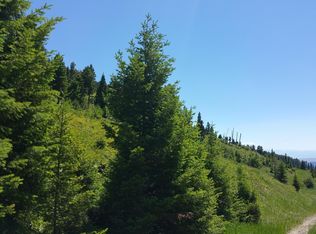 Nhn Wet Mulkey Gulch Rd, Drummond, MT 59832