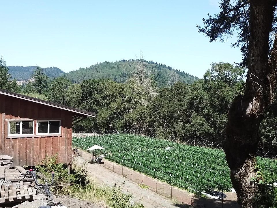 Upper Thomas Rd, Miranda, CA 95553 MLS 264699 Zillow