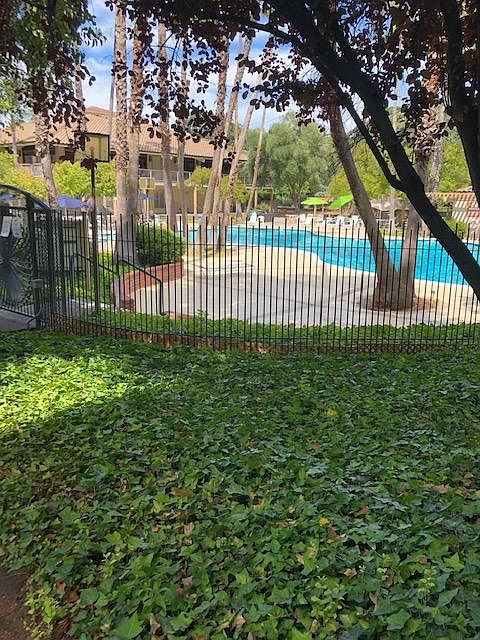 Main pool