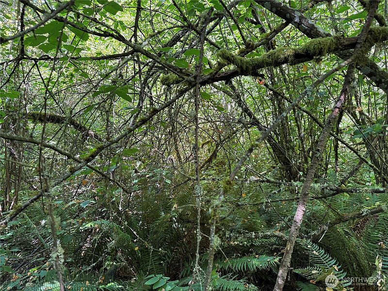 4th image of 0 Chuckawa Lane SE
