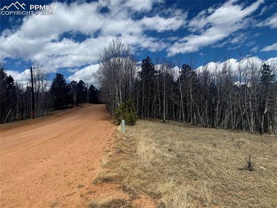 1188 May Queen Dr, Cripple Creek, CO, 80813