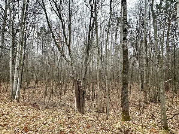Lot 1, 1.65+/- Acres 295th Avenue, Holcombe, WI 54745