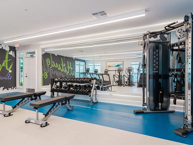 Free Weights Area in Fitness Center