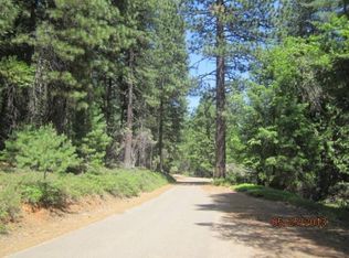 5207 Leoni Rd, Grizzly Flats, CA