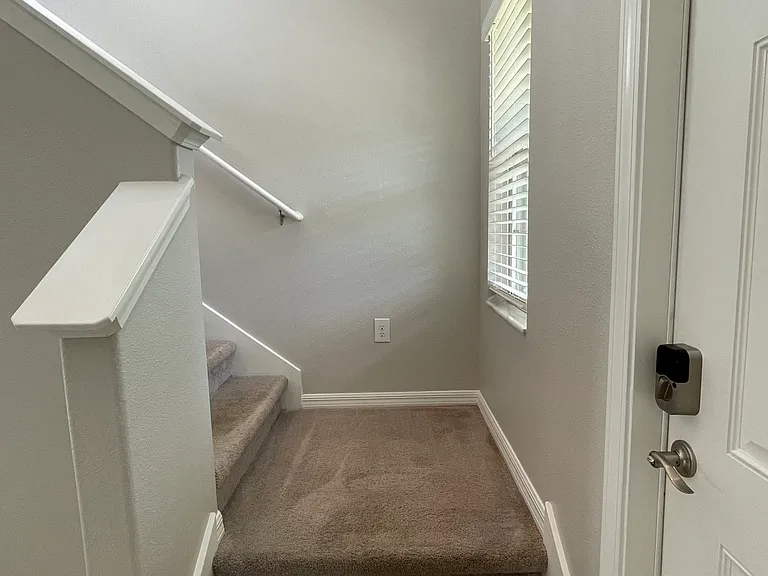 5221 White Chicory Dr — Photo 7