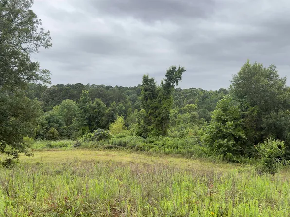 80 Acres Hwy #41, De Queen, AR 71832