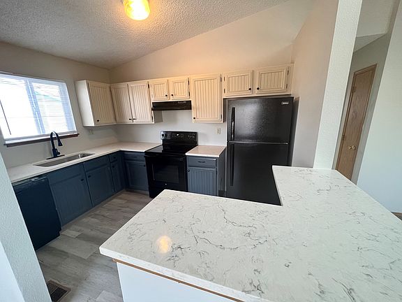 934_daffodil_b_12032022