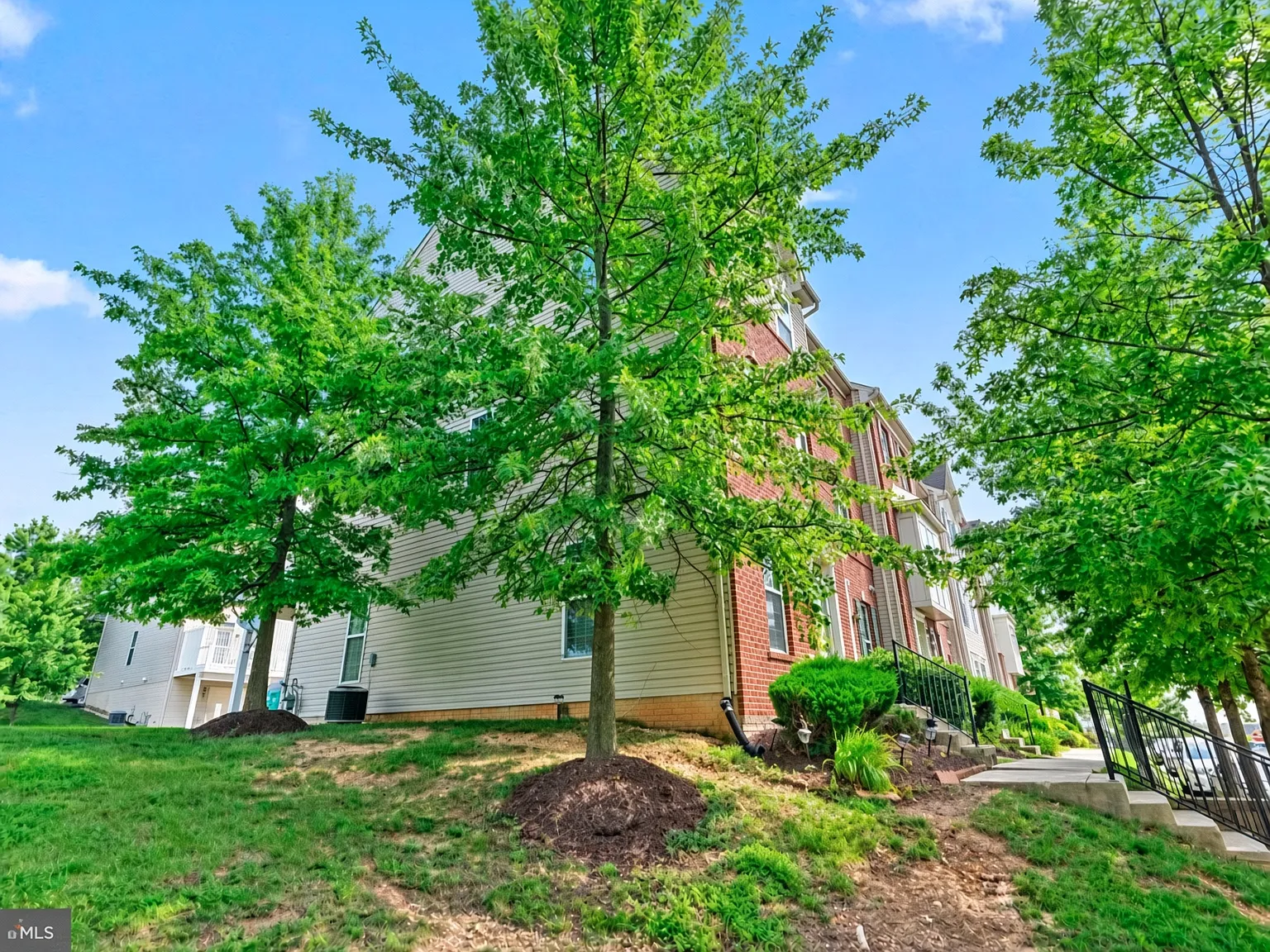 3 bed, 1424 sqft, $3,050 — Photo 3