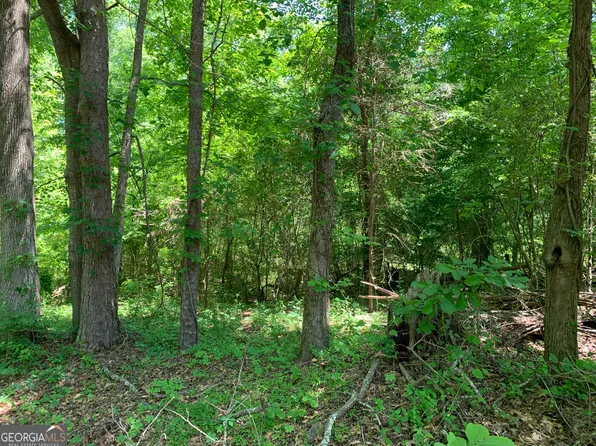 1030 Chambers Ct, Watkinsville, GA 30677