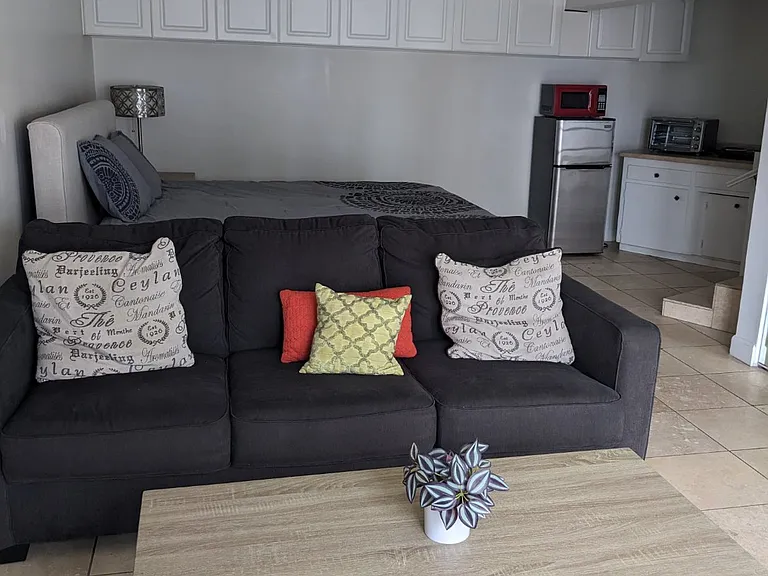 lounging tv area, sofa bed for guests